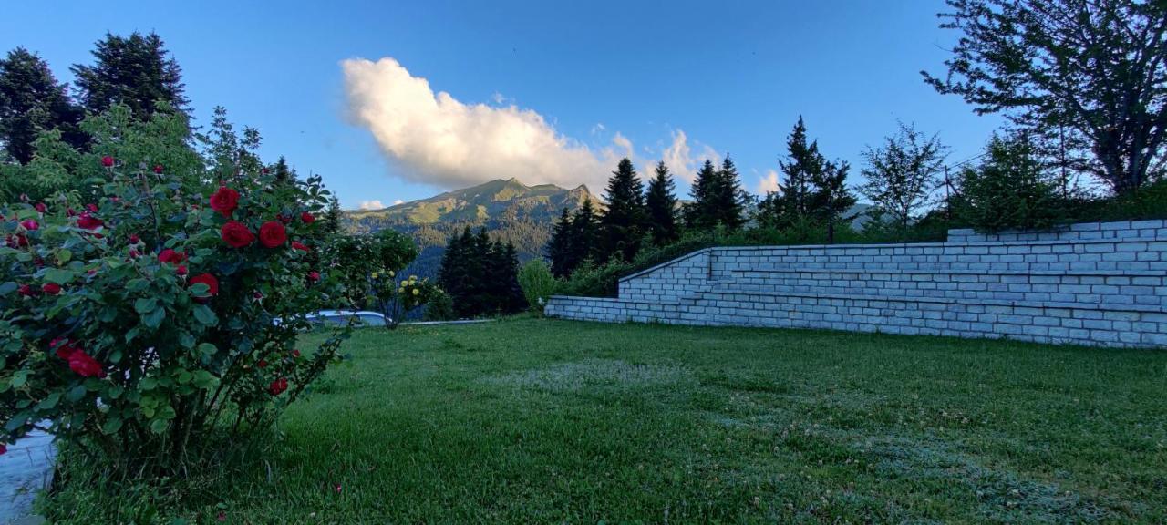 Ξενοδοχείο Μαγκιωση Neraïdochóri Exteriér fotografie
